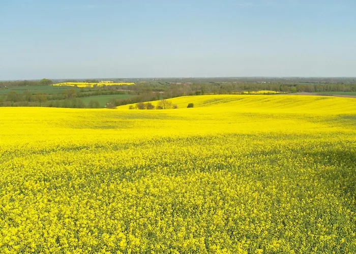 Schroeder Appartement Bunsdorf