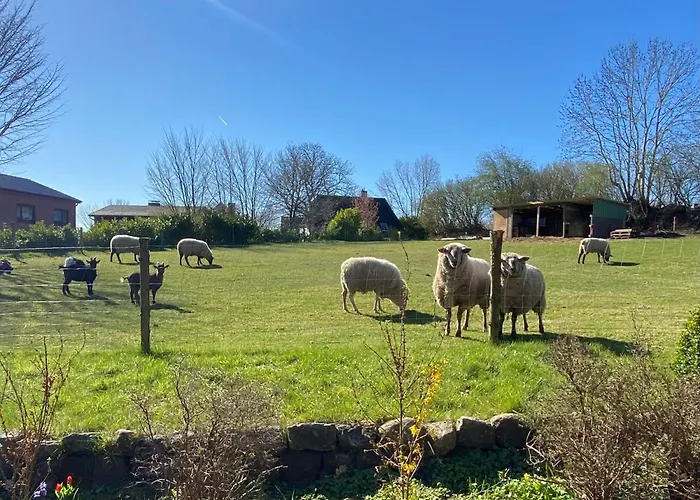 Appartement Schroeder *