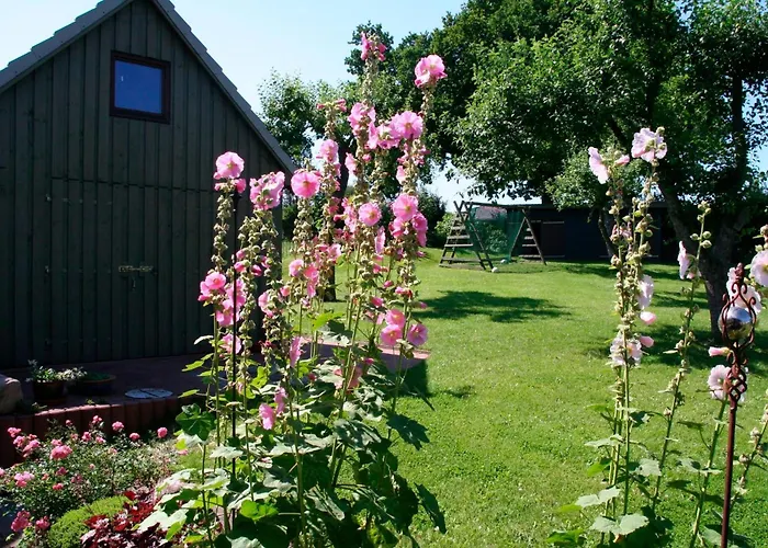 Schroeder Appartement